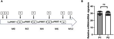 Evaluation of a blood miRNA/mRNA signature to follow-up Lu-PRRT therapy for G1/G2 intestinal neuroendocrine tumors